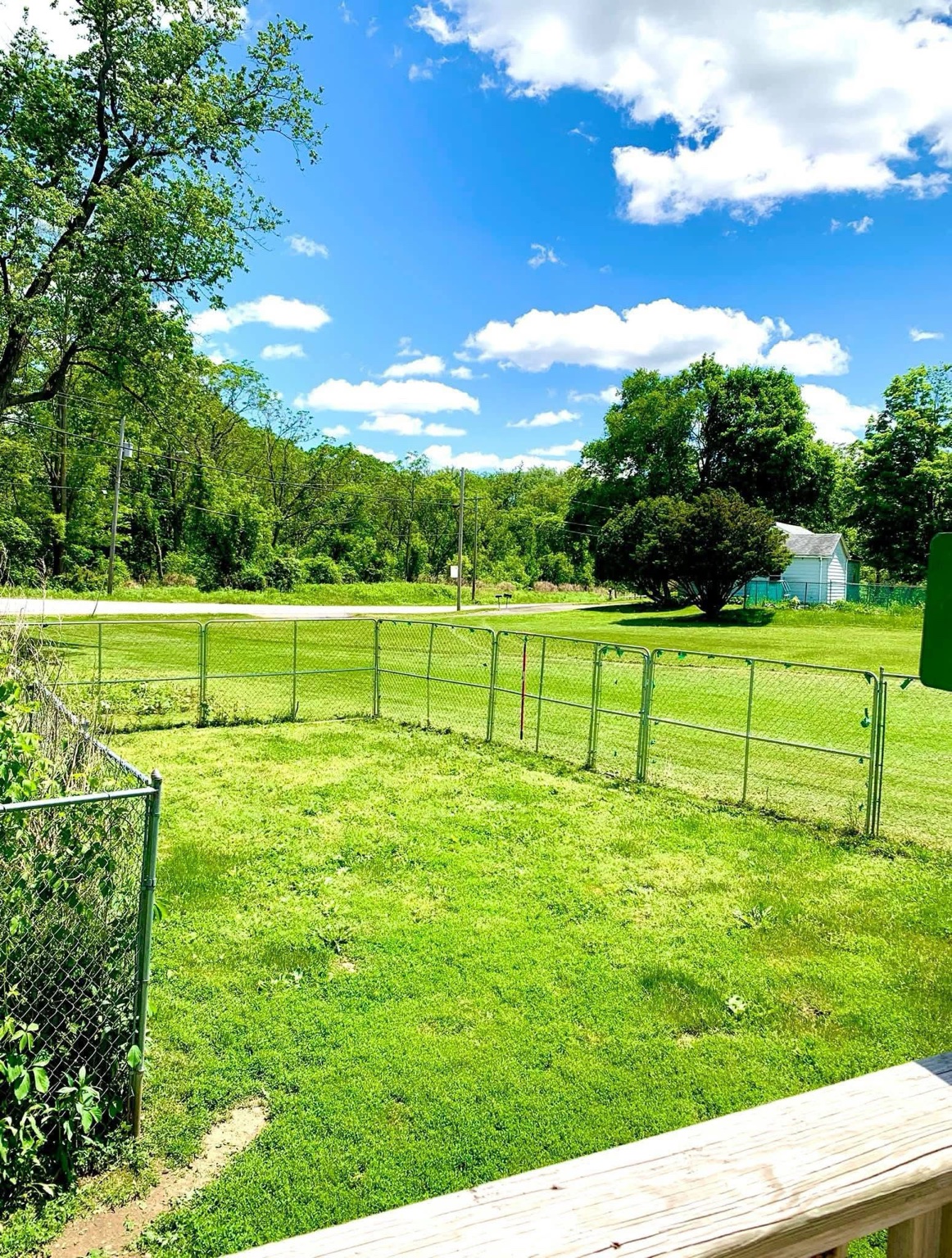 Large fenced yard at Paw It Forward